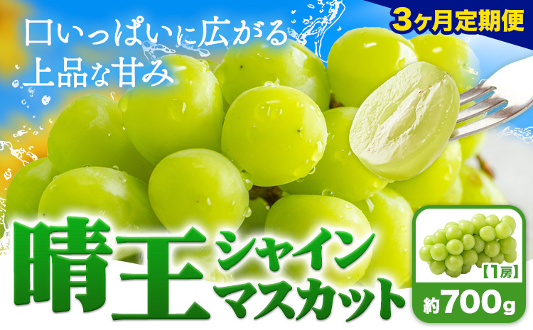 【3ヶ月定期便】ぶどう シャインマスカット 晴王 700g 1房 ハレノフルーツ(アストライ)《7月上旬-9月末頃出荷》岡山県 浅口市 送料無料 フルーツ 果物 マスカット お取り寄せフルーツ【配送不可地域あり】（北海道・沖縄・離島）