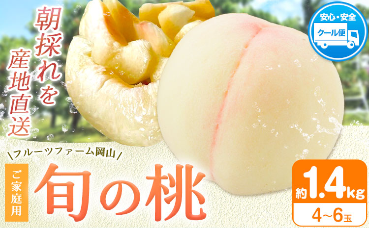 【2026年先行予約】桃 旬 旬の桃 ご家庭用 1.4kg (4〜6玉) フルーツファーム岡山《2026年6月下旬-8月下旬頃出荷》岡山県 浅口市 送料無料 フルーツ モモ 果物 青果 旬 国産 岡山県産【配送不可地域あり】（離島）