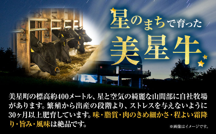 牛肉 サーロインステーキ 肉美星牛 約400g 200g × 2枚 美星ミート《30日以内に発送予定(土日祝除く)》岡山県 浅口市 肉 和牛 国産 牛肉 サーロイン ステーキ 400g 美星和牛 冷凍 送料無料