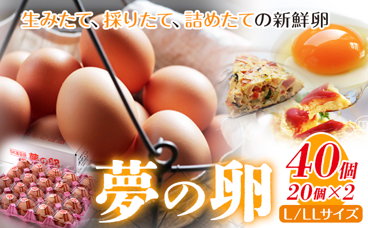 卵 たまご 赤玉 夢の卵 20個入り x 2セット L/LLサイズ《90日以内に出荷予定(土日祝除く)》株式会社めぐみ 岡山県 浅口市 送料無料 大容量 大箱 たっぷり Lサイズ LLサイズ