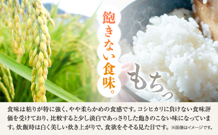 米 10kg 5kg×2袋 お米 10キロ 国産 岡山県産 きぬむすめ 10kg(5kg×2袋) 全農パールライス《90日以内に出荷予定(土日祝除く)》 岡山県 浅口市 送料無料 こめ 精米 きぬむすめ お取り寄せ