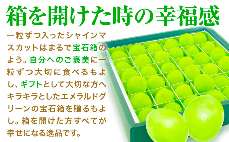 ã2026幎çºéå
è¡äºçŽãã·ã£ã€ã³ãã¹ã«ãã æŽç 20ç² ã·ã£ã€ã³ ãã¹ã«ããã2026幎9æäžæ¬-10æäžæ¬é åºè·äºå®ãæŽã¬ä¹éæã(岡山äžå€®åžå£²åžå Žåº(å¯å£«çŽå·¥ æéäŒç€Ÿ)) éæç¡æ å²¡å±±ç æµ
å£åž ãã«ãŒã æç© åœç£ 岡山çç£ èŽççš ãé
éäžå¯å°åããã