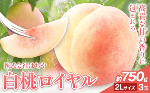 【先行予約】岡山白桃 等級 ロイヤル 約750g《7月上旬‐8月下旬頃出荷》もも モモ 岡山 国産 フルーツ 果物 岡山県 浅口市 株式会社 はちや フルーツ モモ 果物 青果 旬 白桃 国産 岡山県産【配送不可地あり】