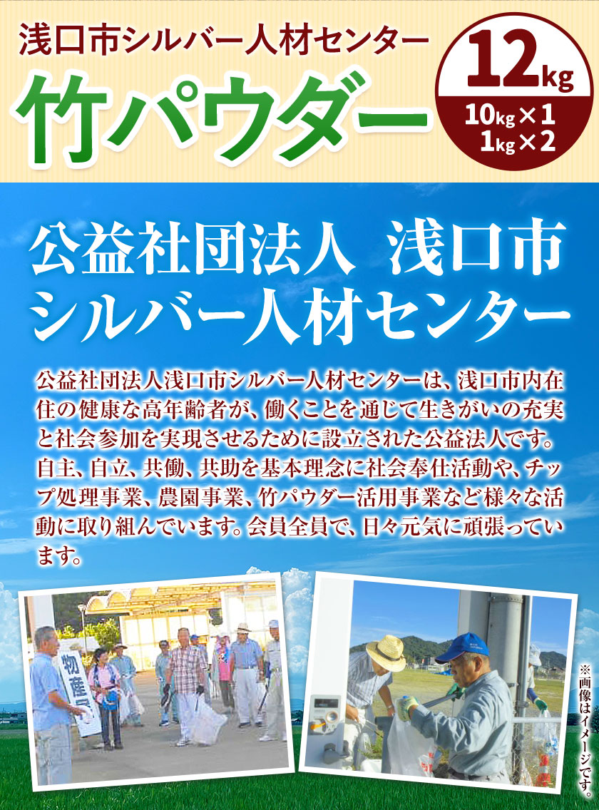 竹パウダー 12kg 公益社団法人浅口市シルバー人材センター《90日以内に出荷予定(土日祝除く)》岡山県 浅口市 竹パウダー バンブーパウダー 竹 土作り 野菜作り 送料無料