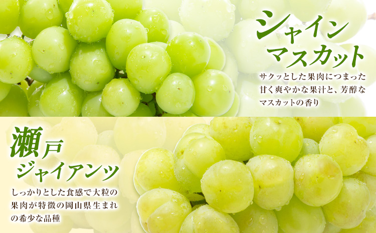 ãå
è¡äºçŽãã¶ã©ã ãå®¶åºç𠿬 ã® ã¶ã©ã 2çš®ã»ãã ããŸãã2çš® åèšçŽ2kg ãããŸãã¶ã©ãå ã8æäžæ¬-10æäžæ¬é åºè·ãå²¡å±±ç æµ
å£åž ãã«ãŒã ãã¶ãŒã ãã〠ãã¹ã«ãã ã¶ã©ã æç© åœç£ ãé
éäžå¯å°åãããïŒé¢å³¶ïŒ