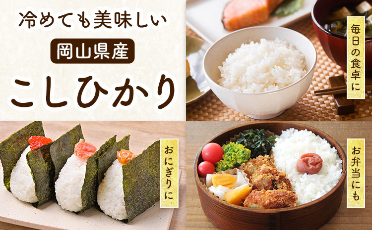 岡山県産 こしひかり 10kg(5kg×2袋) 精米 全農パールライス株式会社《30日以内に出荷予定(土日祝除く)》 岡山県 浅口市 送料無料 こめ 精米 コシヒカリ