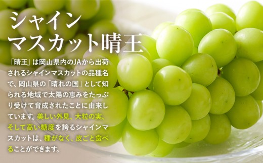 【先行予約】岡山県産 岡山白桃 ロイヤル L~ 3Lサイズ シャインマスカット 計 1kg 詰合せ 株式会社 はちや《7月上旬‐8月下旬頃出荷》もも 岡山 国産 フルーツ 果物 岡山県 浅口市 フルーツ モモ 果物【配送不可地域あり】