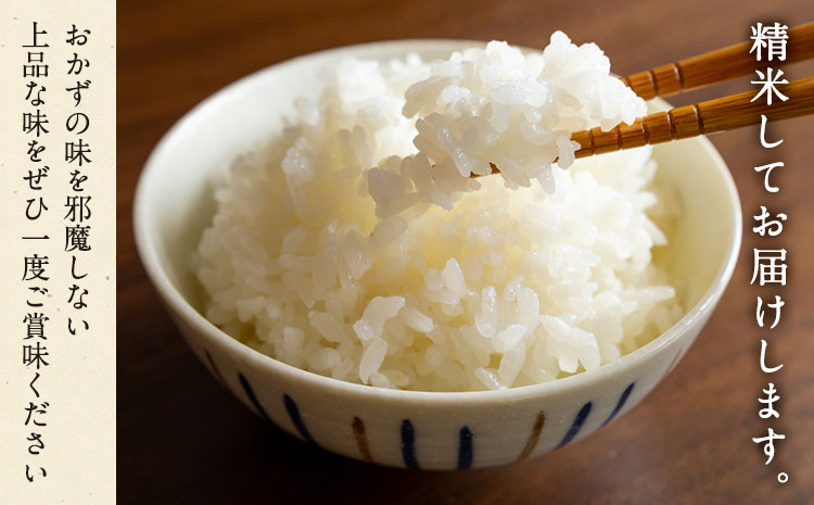 令和7年産 岡山県産 朝日米 精米 9kg 株式会社 一所懸命農園 岡山県 浅口市《30日以内に出荷予定(土日祝除く)》精米 米 あさひ 白米 送料無料