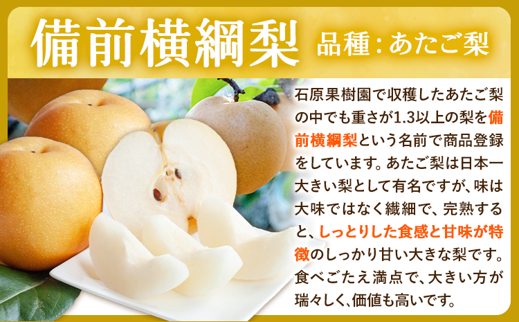 【2026年先行予約】梨 横綱梨 超大玉 3玉 (1～1.5㎏/玉） 特選箱 石原果樹園 フルーツ 果物 新鮮《2026年11月中旬-12月下旬頃より発送予定》岡山県 浅口市 フルーツ 果物 ギフト 贈り物 国産 岡山県産 送料無料