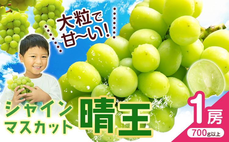 シャインマスカット【晴王】 岡山県産 1房(700g以上)【先行予約】 株式会社Myself《2025年9月上旬-11月上旬頃出荷》マスカット 送料無料 岡山県 浅口市 ぶどう フルーツ 果物 贈り物 ギフト