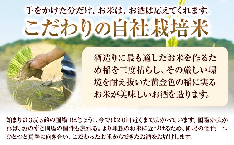 賀茂緑 別醸パック 別醸 1800ml × 6本《30日以内に出荷予定(土日祝除く)》丸本酒造株式会社 岡山県 浅口市 熱燗 冷酒 酒 送料無料