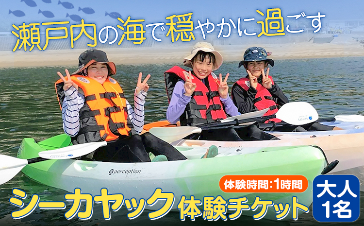 シーカヤックチケット 大人1名 体験時間 1時間 NPO法人あさくちスポーツクラブ遊ぶところ《90日以内に出荷予定(土日祝除く)》岡山県 浅口市 シーカヤック カヤック 体験 大人 チケット 海