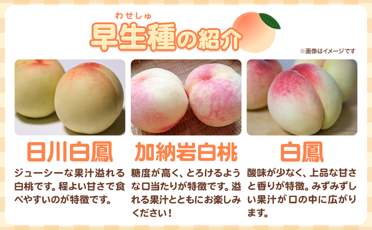 ã2026幎å
è¡äºçŽã岡山ã®çœæ¡ æ©ççš® 3ç çŽ840g æŽãã®åœ ããããŸé€š(ã€ããæ ªåŒäŒç€Ÿ) ã2026幎6æäžæ¬-7æäžæ¬é åºè·ãå²¡å±±ç æµ
å£åž ãã«ãŒã ã¢ã¢ æç© éæ æ¬ãé
éäžå¯å°åãããïŒé¢å³¶ïŒ