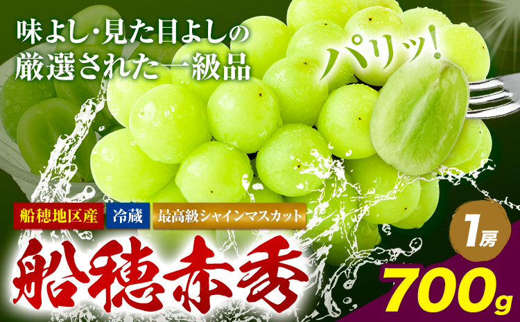 【2026年先行予約受付】最高級 シャインマスカット ぶどう 船穂赤秀 1房 700g《2026年9月上旬-10月末頃出荷(土日祝除く)》ハレノフルーツ マスカット 送料無料 岡山県 浅口市 フルーツ 果物 贈り物 ギフト 国産 岡山県産【配送不可地域あり】（北海道・沖縄・離島）