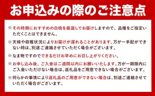 【先行予約】岡山白桃 等級 ロイヤル 約1.5kg《7月上旬‐8月下旬頃出荷》もも モモ 岡山 国産 フルーツ 果物 岡山県 浅口市 株式会社 はちや フルーツ モモ 果物 青果 旬 白桃 国産 岡山県産【配送不可地あり】