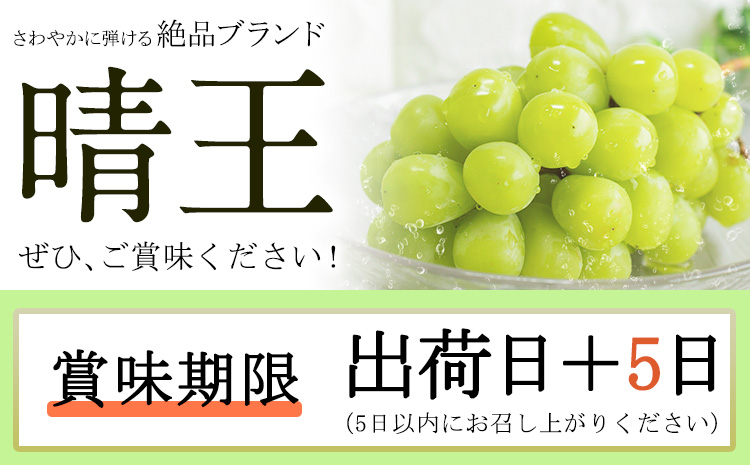 [2025年先行予約]シャインマスカット 晴王 2房(約1.1kg)《9月上旬-10月上旬頃出荷(土日祝除く)》 田口青果 マスカット 送料無料 岡山県 浅口市 シャインマスカット ぶどう フルーツ 果物 贈り物 ギフト 国産 岡山県産 くだもの 果物 青果物【配送不可地域あり】（北海道・沖縄・離島）