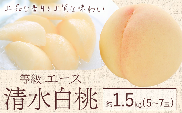 【先行予約】清水 白桃 等級 エース 約1.5kg 5～7玉入りもも モモ 岡山 国産 フルーツ 果物 ギフト 桃茂實苑《7月中旬-8月上旬頃出荷》岡山県 浅口市 フルーツ モモ 果物 青果 旬 白桃 国産 岡山県産【配送不可地域あり】