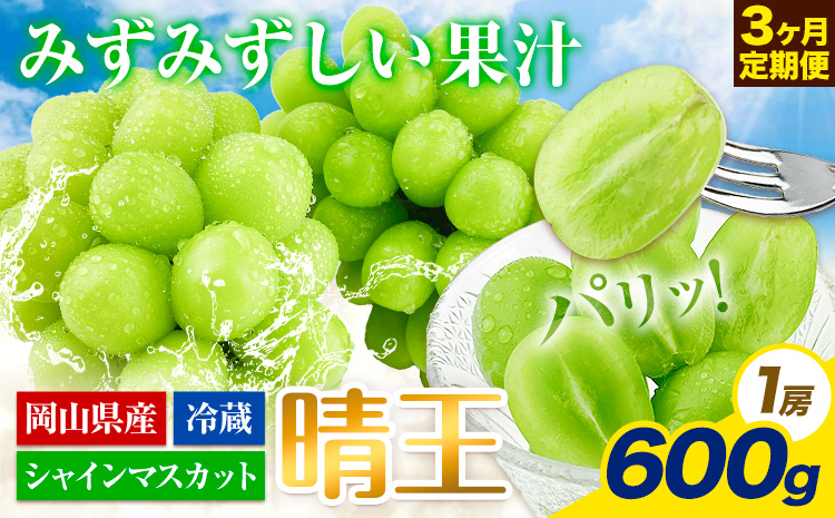 【2025年先行予約】ぶどう 3ヶ月 定期便 シャインマスカット 晴王 600g 岡山県産《7月上旬-9月末頃出荷》 ハレノフルーツ マスカット 送料無料 岡山県 浅口市 フルーツ 果物 国産 岡山県産【配送不可地域あり】（北海道・沖縄・離島）