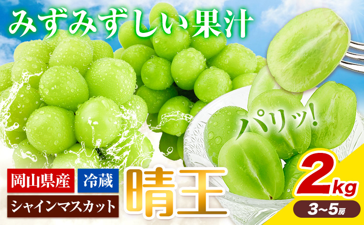 ぶどう [2026年先行予約] シャインマスカット 晴王 2kg 3房 〜 5房 岡山県産《2026年9月上旬-10月末頃出荷(土日祝除く)》 ハレノフルーツ マスカット 送料無料 岡山県 浅口市 フルーツ 果物 贈り物 ギフト 国産 岡山県産【配送不可地域あり】（北海道・沖縄・離島）