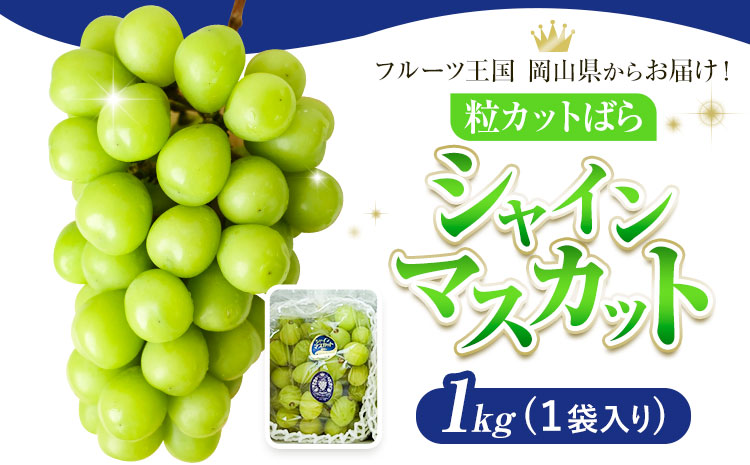 シャインマスカット 粒カット ばら 1kg (1袋入り) 【先行予約】 Lino ＆ Kai Farm《2026年10月上旬-11月中旬頃出荷》マスカット 送料無料 岡山県 浅口市 シャインマスカット 岡山 ぶどう フルーツ 果物st-p