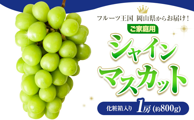 ご家庭用 フルーツ王国 岡山県産 シャインマスカット 化粧箱入り 1房 (約800g) 【先行予約】 Lino ＆ Kai Farm《2026年10月上旬-11月中旬頃出荷》マスカット 送料無料 岡山県 浅口市 シャインマスカット 岡山 ぶどう フルーツ 果物st-p