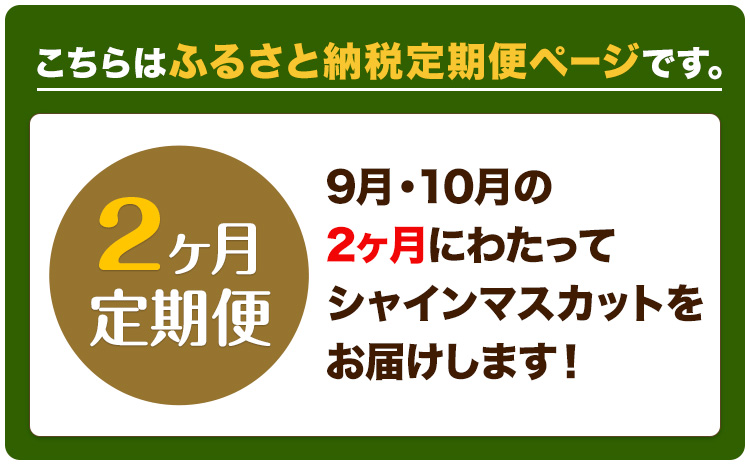 ぶどう 2ヶ月 定期便 [2026年先行予約] シャインマスカット 晴王 約1.1kg 岡山県産《9月上旬-10月末頃出荷(土日祝除く)》 ハレノフルーツ マスカット 送料無料 岡山県 浅口市 フルーツ 果物 贈り物 ギフト 国産 岡山県産 くだもの【配送不可地域あり】（北海道・沖縄・離島）