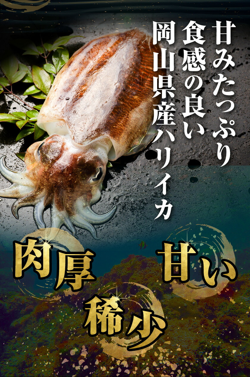 炊き込みご飯 寄島 漁港の釜飯 いかめし 220g×2個 3回 （製造地：岡山県浅口市）ハレノヒ良品(まからずやストアー)《お申込み月の翌月から発送》岡山県 浅口市 イカ 釜めし セット【配送不可地域あり】冷凍 冷凍食品 惣菜 レトルト ひとり暮らし