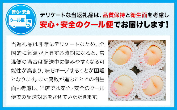 【先行予約】桃 ぶどう 白桃 3玉 約900g（1玉約300g）シャインマスカット 晴王 1房 550g以上 もも 葡萄 詰合せ 岡山 国産 フルーツ 果物 ギフト 桃茂實苑《6月中旬-8月中旬頃出荷》岡山県 浅口市 フルーツ ぶどう 果物 青果【配送不可地域あり】