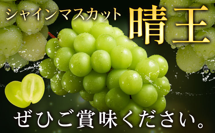 【定期】ぶどう シャインマスカット 晴王 700g 1房 2ヶ月定期便 彩美菜果《7月上旬-8月末頃出荷》 マスカット 送料無料 岡山県 浅口市 フルーツ 果物 贈り物 国産 岡山県産 くだもの 果物 7月 8月発送 【配送不可地域あり】（北海道・沖縄・離島）