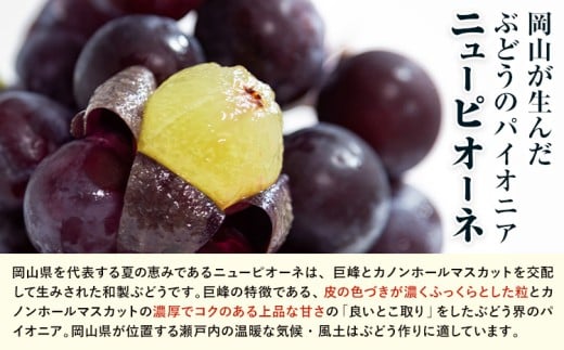 【先行予約】 岡山県産 シャインマスカット「晴王」とニューピオーネ 計 1.2kg 株式会社はちや《8月下旬‐9月下旬頃頃出荷》岡山県 浅口市 ぶどう 葡萄 フルーツ ギフト 果物 デザート 国産【配送不可地域あり】