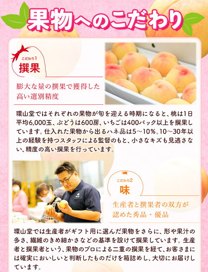 【2026年先行予約】桃 もも 岡山白桃 4玉 約1kg 岡山県産 環山堂株式会社《2026年7月上旬-8月上旬頃出荷》岡山県 浅口市 白桃 果物 フルーツ 送料無料st-p
