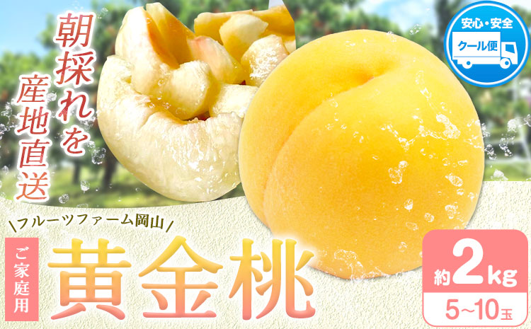 【2026年先行予約】桃 黄金桃 ご家庭用 2kg (5〜8玉) フルーツファーム岡山《2026年8月中旬-8月末頃出荷》岡山県 浅口市 送料無料 フルーツ モモ 果物 青果 旬 国産 岡山県産【配送不可地域あり】（北海道・沖縄・離島）st-p