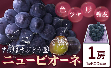 [2026年先行予約]ぶどう ニューピオーネ 1房(約600g前後) たけまさぶどう園 [2026年7月中旬-10月上旬頃出荷]岡山県 浅口市 送料無料 フルーツ 果物 岡山県産 青果物 お取り寄せフルーツ[配送不可地域あり](北海道・沖縄・離島)(離島)st-p