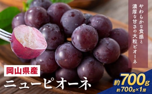 【先行予約】 岡山県産 ニューピオーネ詰合せ 選べる 計 700g 株式会社はちや《8月下旬‐9月下旬頃出荷》岡山県 浅口市 ぶどう 葡萄 フルーツ ギフト 果物 デザート 国産 送料無料【配送不可地域あり】