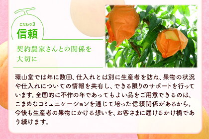【2026年先行予約】桃 もも 岡山白桃 4玉 約1kg 岡山県産 環山堂株式会社《2026年7月上旬-8月上旬頃出荷》岡山県 浅口市 白桃 果物 フルーツ 送料無料st-p