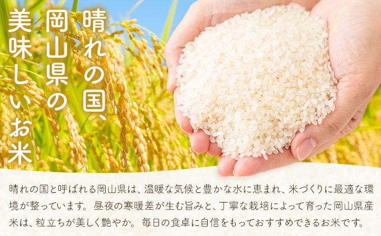 岡山県産 こしひかり 10kg(5kg×2袋) 精米 全農パールライス株式会社《30日以内に出荷予定(土日祝除く)》 岡山県 浅口市 送料無料 こめ 精米 コシヒカリ