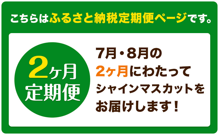 【2ヶ月定期便】ぶどう シャインマスカット 晴王 1.2kg 2房 ハレノフルーツ(アストライ)《7月上旬-8月末頃出荷》岡山県 浅口市 送料無料 フルーツ 果物 マスカット お取り寄せフルーツ【配送不可地域あり】（北海道・沖縄・離島）