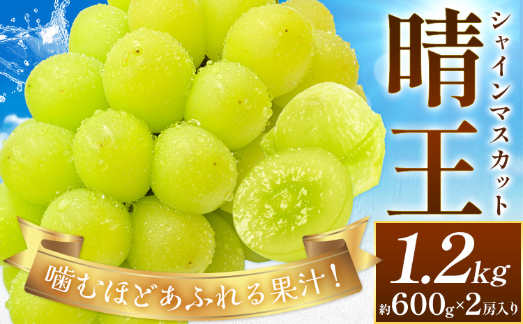 【2026年先行予約】ぶどう シャインマスカット 晴王 約1.2kg (約600g×2房入り) 満天フルーツ《2026年9月上旬-10月末頃出荷》岡山県 浅口市 送料無料 マスカット フルーツ 果物 お取り寄せフルーツ 贈り物 ギフト 国産 岡山県産【配送不可地域あり】