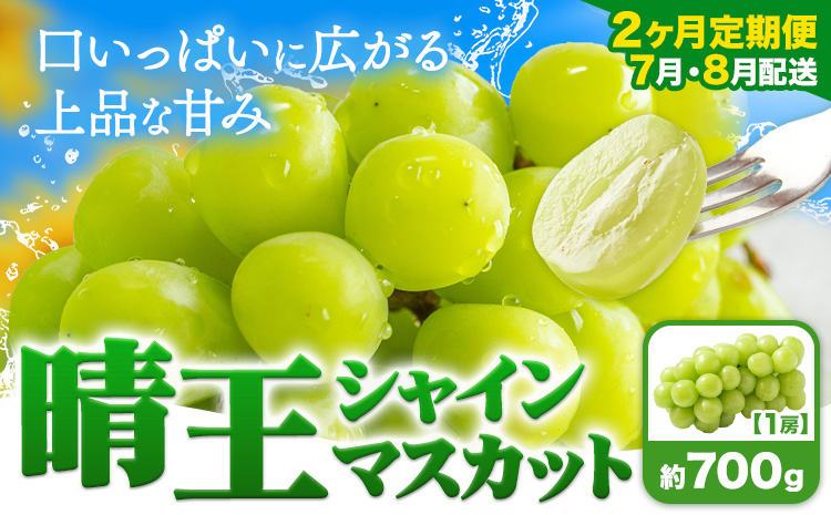 【2ヶ月定期便】ぶどう シャインマスカット 晴王 700g 1房 ハレノフルーツ(アストライ)《7月上旬-8月末頃出荷》岡山県 浅口市 送料無料 フルーツ 果物 マスカット お取り寄せフルーツ【配送不可地域あり】（北海道・沖縄・離島）