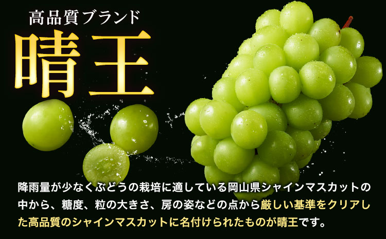 ぶどう シャインマスカット 晴王 1.2kg 2房 2ヶ月定期便 彩美菜果《9月上旬-10月末頃出荷》 マスカット 送料無料 岡山県 浅口市 フルーツ 果物 贈り物 国産 岡山県産 くだもの 果物 9月 10月発送 【配送不可地域あり】（北海道・沖縄・離島）