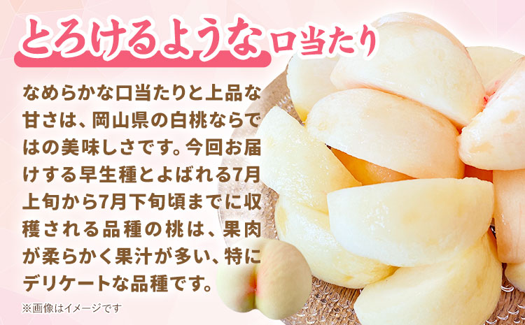 ã什å7幎床å
è¡äºçŽã岡山çç£ çœæ¡ å
容é 8çïŒçŽ2.0kgïŒ ã¯ãŒã«äŸ¿ æŽãã®åœ ããããŸé€š(ãã«ãŒãã©ã³ã岡山) ã2026幎7æäžæ¬-7æäžæ¬é åºè·ãå²¡å±±ç æµ
å£åž çœæ¡ æ¡ãé
éäžå¯å°åãããïŒé¢å³¶ïŒ