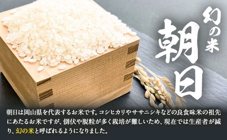 令和7年産 岡山県産 朝日米 精米 9kg 株式会社 一所懸命農園 岡山県 浅口市《30日以内に出荷予定(土日祝除く)》精米 米 あさひ 白米 送料無料