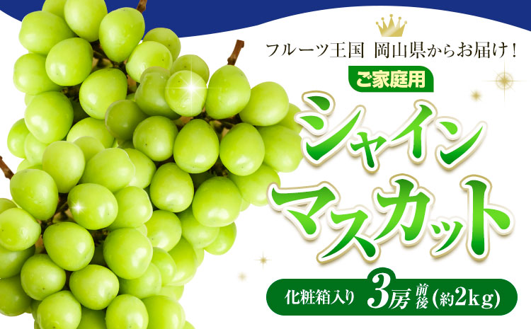ご家庭用 フルーツ王国 岡山県産 シャインマスカット 化粧箱入り 3房 (約2kg)【先行予約】 Lino ＆ Kai Farm《2026年10月上旬-11月中旬頃出荷》マスカット 送料無料 岡山県 浅口市 シャインマスカット 岡山 ぶどう フルーツ 果物st-p