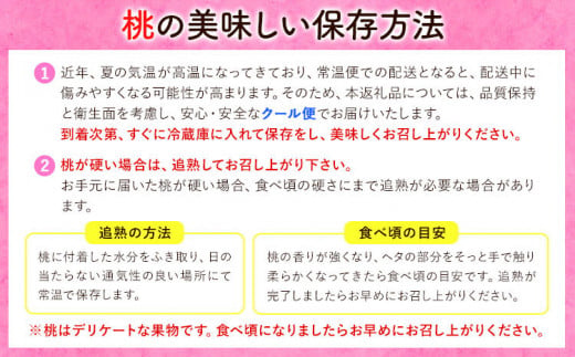 【令和7年度受付分 先行予約】おかやま白桃 もも 桃 1kg 3~5玉前後 岡山県産 ご家庭用《2025年6月下旬-9月上旬頃出荷》岡山県 浅口市 厳選出荷 白桃  白鳳 清水白桃 おかやま夢白桃 川中島白桃 白皇 果物 フルーツ