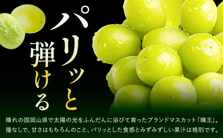 【2ヶ月定期便】ぶどう シャインマスカット 赤秀 プレミアム 晴王 1.2kg 2房 ハレノフルーツ(アストライ)《9月上旬-10月末頃出荷》岡山県 浅口市 送料無料 フルーツ 果物 マスカット お取り寄せフルーツ【配送不可地域あり】（北海道・沖縄・離島）