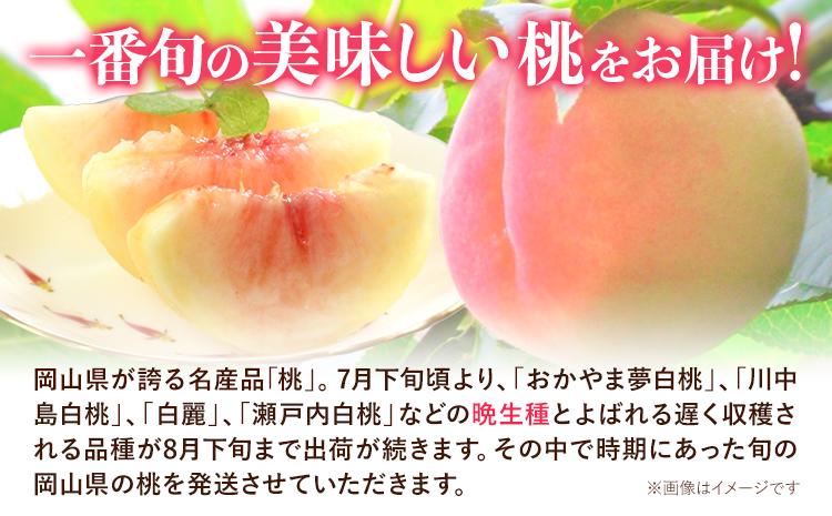 ã2026幎å
è¡äºçŽãããå®¶åºçšã 岡山ã®çœæ¡ ïŒæ©ççš®ïŒ çŽ1.5kg æŽãã®åœ ããããŸé€š(ã€ããæ ªåŒäŒç€Ÿ) ã2026幎8æäžæ¬-8æäžæ¬é åºè·ãå²¡å±±ç æµ
å£åž çœæ¡ æ¡ æç©ãé
éäžå¯å°åãããïŒé¢å³¶ïŒ