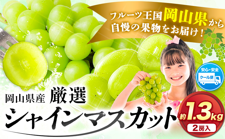 【2026年先行予約】シャインマスカット 訳あり約1.3kg(2房)《2026年 9月上旬-11月上旬頃に出荷》｜シャインマスカット人気シャインマスカット 岡山県産シャインマスカット 産地直送 シャインマスカット おすすめシャインマスカット 産地