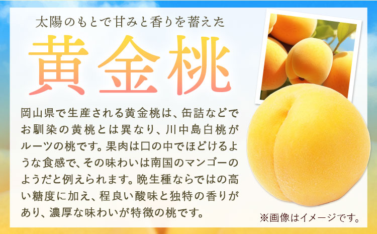 【令和7年度先行予約】桃 黄金桃 ご家庭用 1.4kg (4～6玉) フルーツファーム岡山《2025年8月中旬-9月下旬頃出荷》岡山県 浅口市 送料無料 フルーツ モモ 果物 青果 旬 国産 岡山県産【配送不可地域あり】