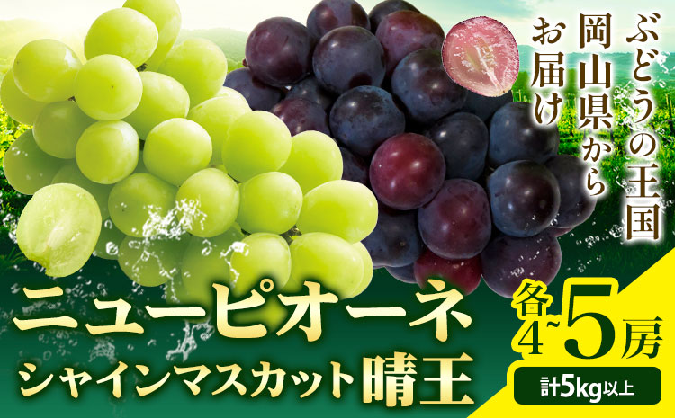 シャインマスカット【晴王】 & ニューピオーネ 計5kg以上(各4~5房) 【先行予約】 株式会社Myself《2025年9月上旬-11月上旬頃出荷》マスカット 送料無料 岡山県 浅口市 ぶどう フルーツ 果物 贈り物 ギフト