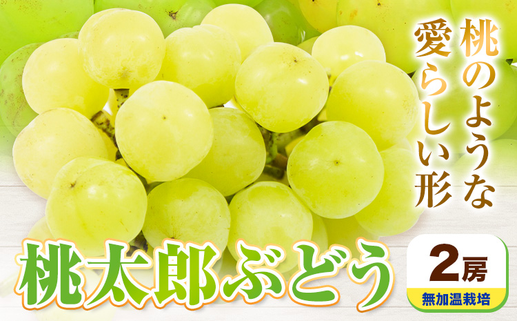 ãå
è¡äºçŽã岡山çç£ æ¡å€ªéã¶ã©ã 2æ¿ ç¡å æž©æ œå¹ãé
éäžå¯å°åãããã9æäžæ¬-10æäžæ¬é ã«åºè·äºå®(忥ç¥é€ã)ãæéäŒç€ŸããŒãã£ã«ã«ãã£ãŒç¥å³¶